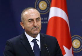 Начался визит в Грузию главы МИД Турции